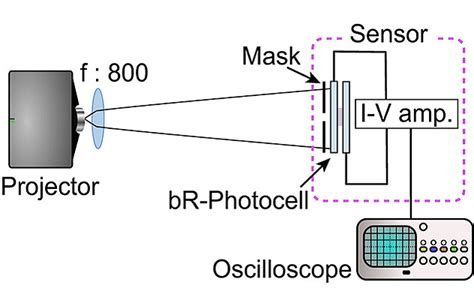 Robotic vision sensors based on light sensitive bacterial proteins