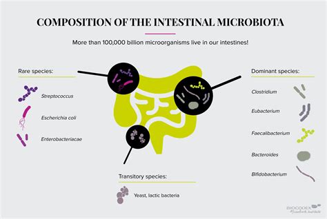 Microbiota Intestinale