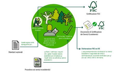 Servizi Ecosistemici Per Proprietari Forestali Forest Stewardship Council