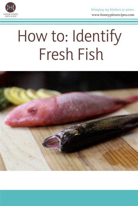 Identifying Fresh Fish Fish Recipes Food Recipes Seafood Recipes