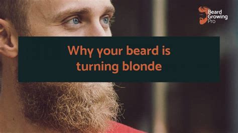 Why Is My Beard Turning Blonde 7 Surprising Reasons