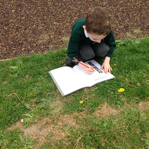 Suttons Primary School Ms Wild Plant Hunt Science