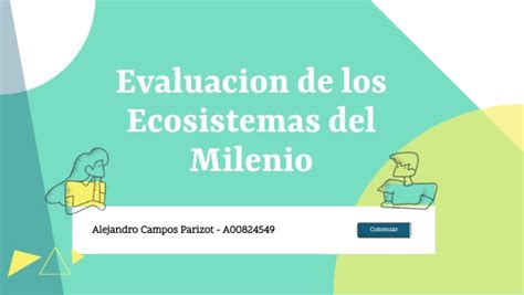 Evaluacion Del Milenio