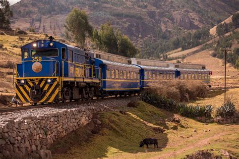 Which Train To Machu Picchu Should You Take Rainforest Cruises hth官网注册