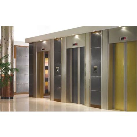 Stainless Steel Luxury Residental Elevators At Best Price In