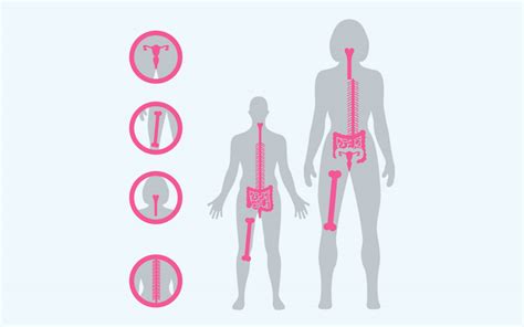 Education/Info | Lobular Breast Cancer UK