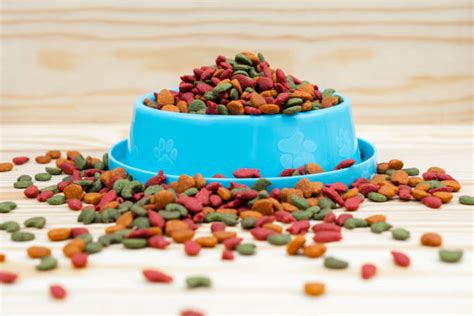 Cat Spill Stock Photos Pictures And Royalty Free Images Istock