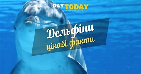 Міжнародний день Чорного моря (2025) - DAY TODAY