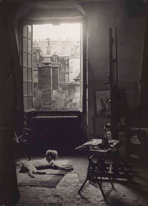 BrassaÏ 1899 1984 Le Chien Kazbek Dans Latelier De Picasso Quai