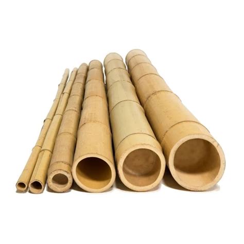 Wholesale Vietnam Bamboo Poles 100 Natural Bamboo Polecanestick