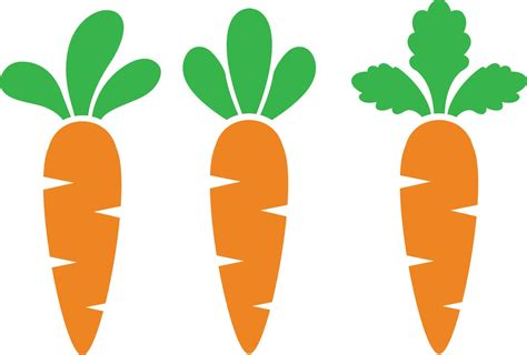 Karotte Svg Ostern Svg Karotte B Ndeln Svg Orange Karotte Svg Png