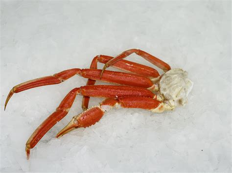 Medium Snow Crab Legs | Premium Clusters | Crab Dynasty