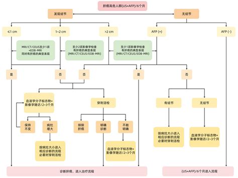 原发性肝癌诊疗指南2024年版