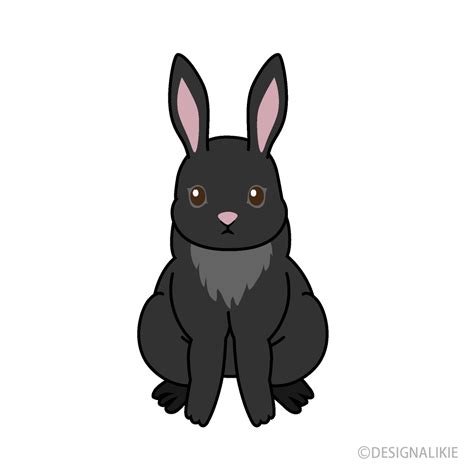 Black Rabbit Front Clip Art Free Png Image｜illustoon