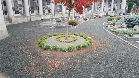 Per La Celebrazione Del 1 Novembre I Cimiteri Di Biella Saranno Aperti