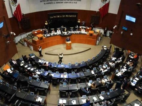 Senado Elimina La Carta De Antecedentes No Penales Imagen Radio