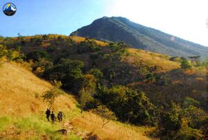 Baluran Safari Park - National Park Banyuwangi