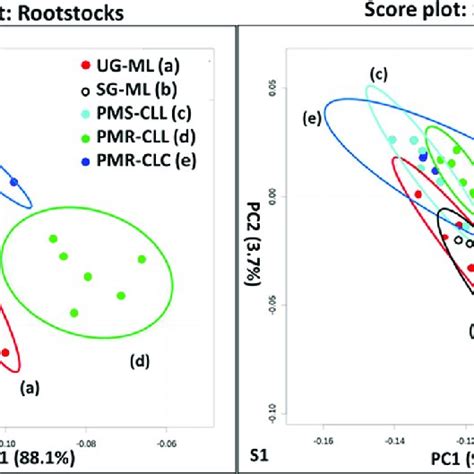 Pca Score Plots Pc1 Versus Pc2 Score Plots Are Shown For Each The