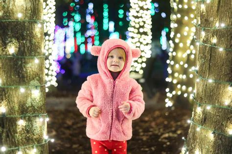 Frequently Asked Questions: Leland in Lights | Town of Leland, NC