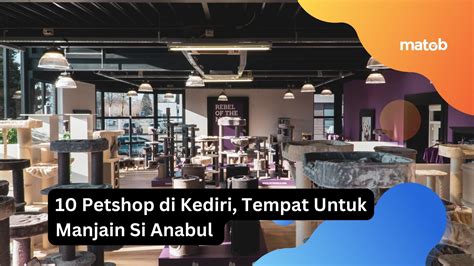 Petshop Di Kediri Tempat Untuk Manjain Si Anabul Matob Bisnis