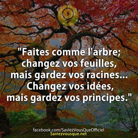 Faites Comme Larbre Changez Vos Feuilles Mais Gardez Vos Racines