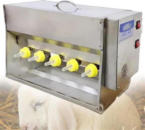 Revolutionizing Piglet Feeding: Our Experience with the 10-Head ...