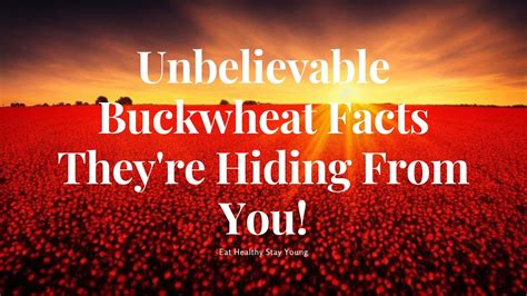 Unveiling Unbelievable Buckwheat Facts What They Re Hiding From You