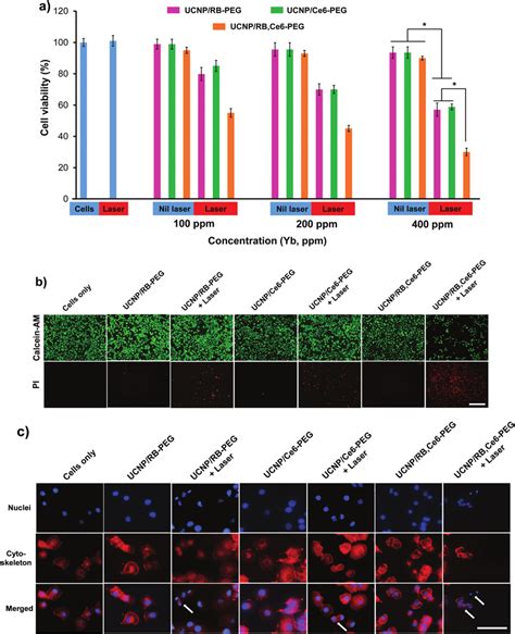 In Vitro Pdt Treatment Efficacy A Cell Viabilities After Incubation