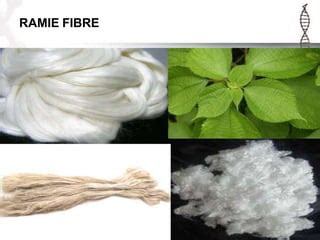 Types Of Textile Fiber Ppt