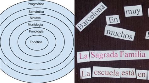 Diferencia entre pragmática sintaxis morfología y fonología Que