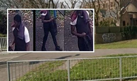 Portsmouth Police Launch Appeal After Girl 11 Sexually Assaulted On