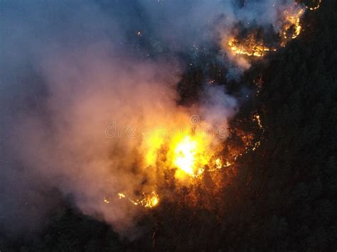 Aerial Panoramic View of a Forest Fire at Night, Heavy Smoke Causes Air Pollution, and Fire in ...