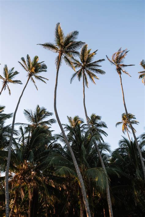 8 Things to Know before Visiting Tayrona National Park in Colombia