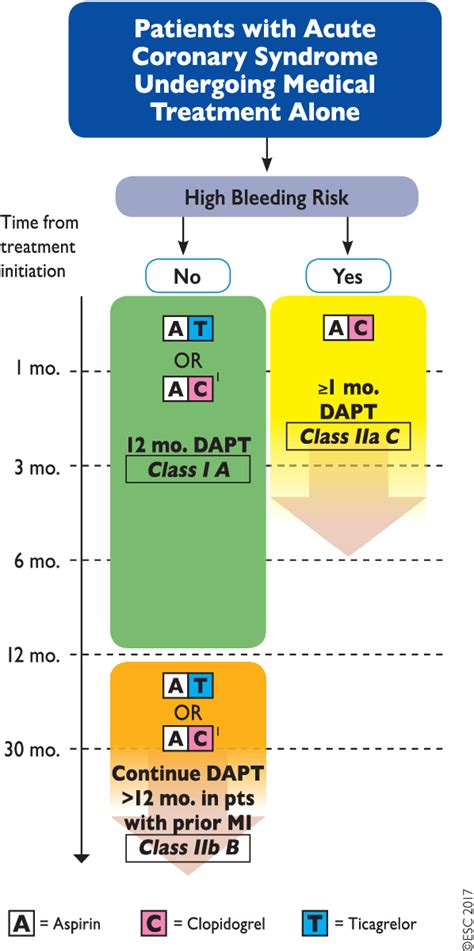 Figure 2 From [2017 Esc Focused Update On Dual Antiplatelet Therapy In