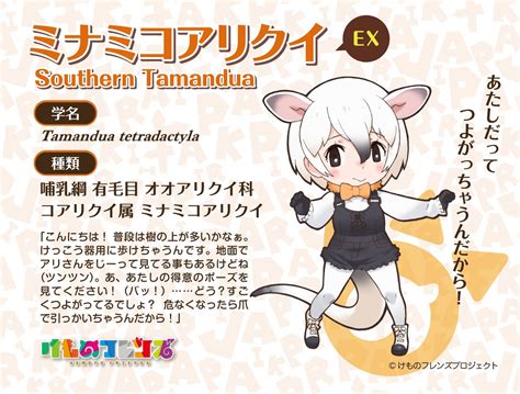 けものフレンズぱびりおん新フレンズミナミコアリクイ EX が登場 ぬいぐるみ湯たんぽやハニーポットも追加 けもちゃん