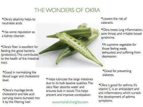 Okra Health Benefits Image By Just A Cajun Momma On Herbal Remedies And Info Okra Benefits Okra