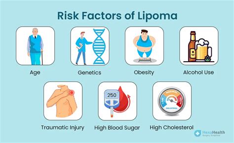 Lipoma Meaning Causes Images Ultrasound Surgery