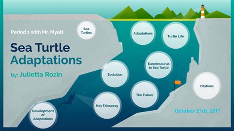 Sea Turtle Adaptations By Julietta Rozin On Prezi