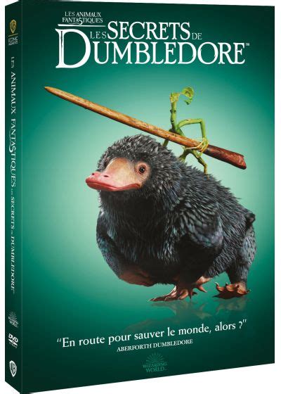 DVDFr Les Animaux Fantastiques Les Secrets De Dumbledore DVD