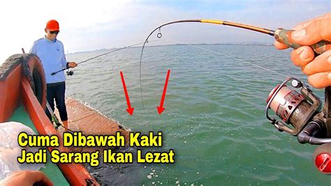 Rejeki Nomplok Mancing Di Spot Super Ekstrim Cuma Dibawah Kaki Bisa