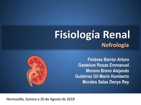 PPT Fisiología Renal PowerPoint Presentation free download ID 1334709