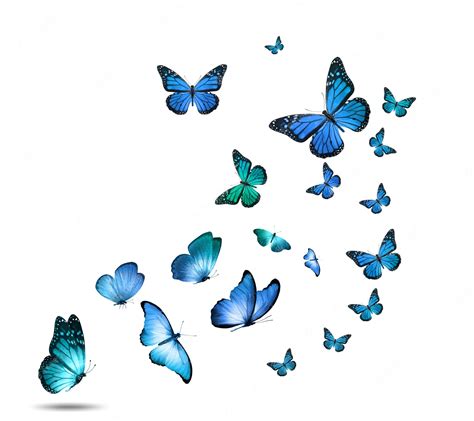 Flying Blue Butterfly