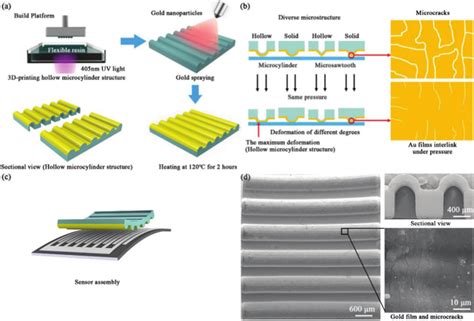 Fabrication Process And Structure Of The Flexible Tactile Sensor A