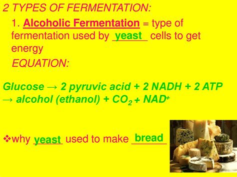 Biology Notes Cell Energy Part 4 Pages Ppt Download