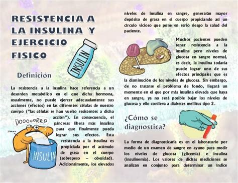 Resistencia A La Insulina Y Ejercicio Fisico