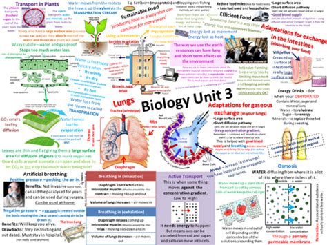 B Aqa Biology Revision Posters New Spec Teaching Resources Gcse