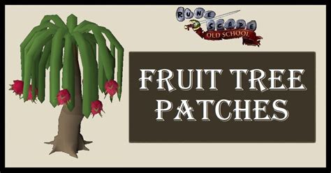 OSRS Fruit Tree Patches | Locations & Types