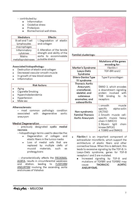 SOLUTION: Diseases of the aorta - Studypool