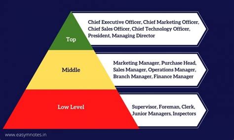 Levels Of Management Top Middle And Lower