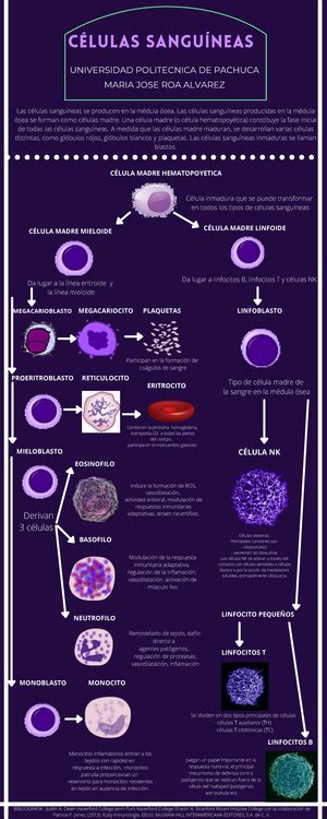 Calidad De Vida E Instrumentos De Medicion Trabajo De Fin De Grado